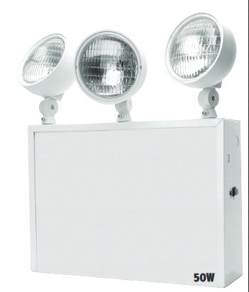 NYC Emergency Light, Steel - 18-68W Capacity - 2 or 3 Heads